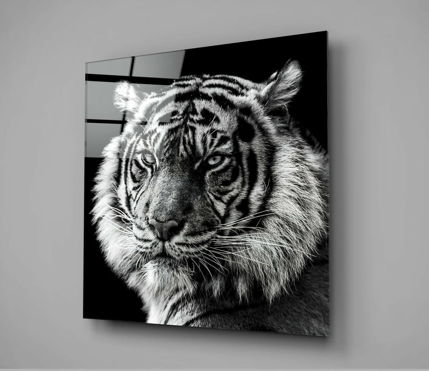 Tiger's Look Glass Wall Art