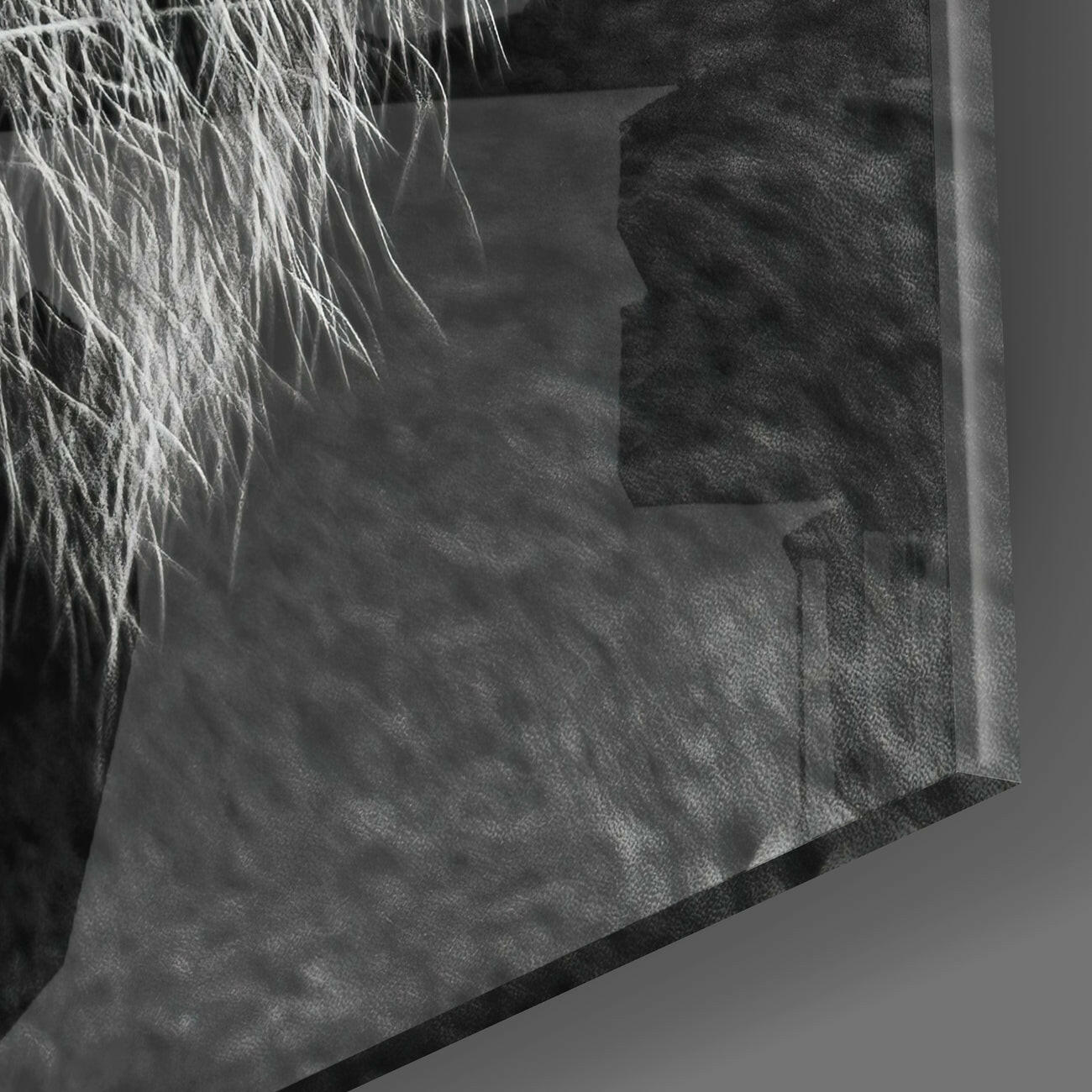Tiger's Look Glass Wall Art