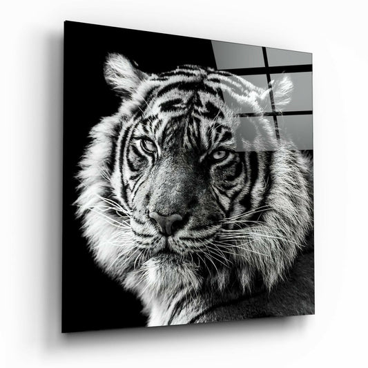 Tiger's Look Glass Wall Art